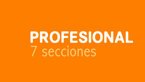 Plan de diseño web Profesional